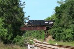 NS G11